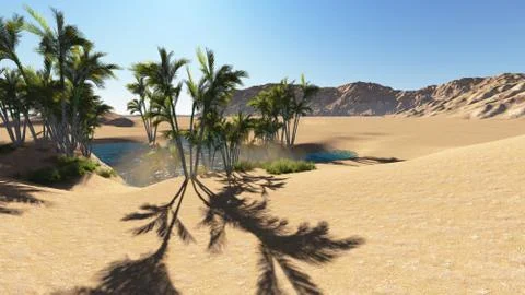 Oasis Stock Illustration