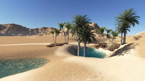 Oasis Stock Illustration