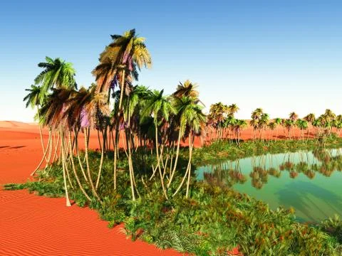 Oasis 库存插图