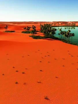 Oasis Stock Illustration