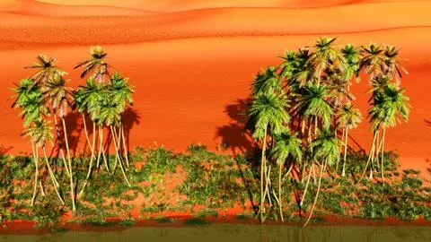 Oasis Stock Illustration