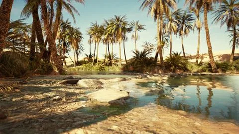 Oasis lake in desert surrounded high yellow sand dunes Stock Illustration