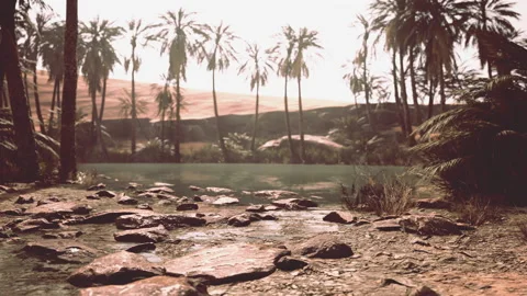 Oasis in the middle of the desert with a lot of trees 動画素材 201618758