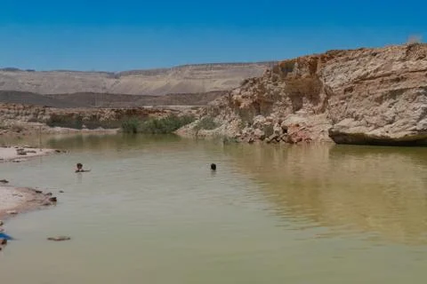 Oasis in the middle of the desert Stock Photos