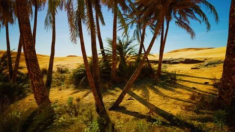 Oasis at the moroccan desert dunes Stock Illustration
