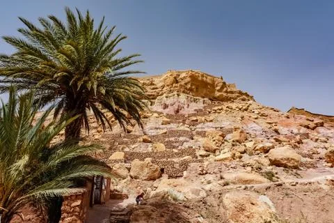 Oasis in Morocco Stock Photos
