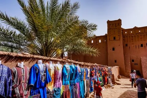 Oasis in Morocco Stock Photos
