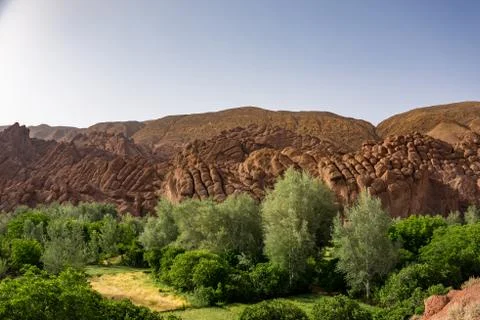 Oasis in Morocco Stock Photos