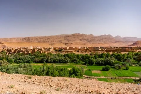 Oasis in Morocco Stock Photos