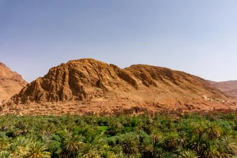 Oasis in Morocco Stock Photos