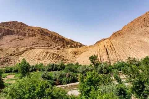 Oasis in Morocco Stock Photos