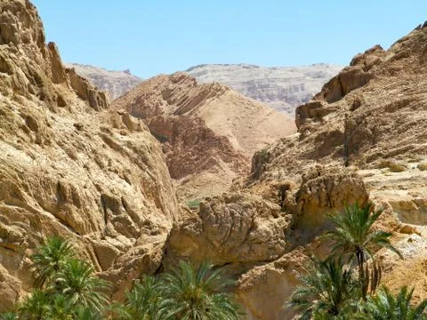 Oasis in the mountains in the desert. Foto stock