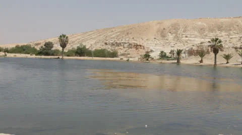 Oasis in the Negev Desert Stock Footage 22957879