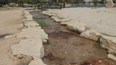 Oasis in the Negev Desert Stock Footage 22958040