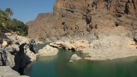  Oasis in Oman Stock Footage 71487512