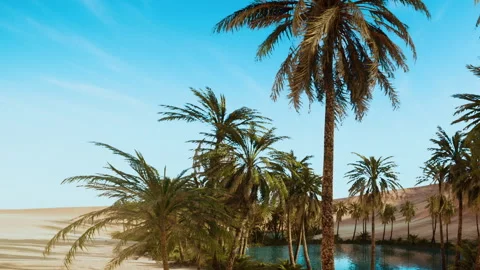 Oasis with palm trees and clear water in desert landscape Stock Footage 340614846