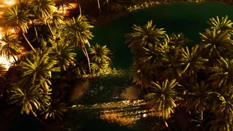 Oasis with palm trees and water observed from above during golden hour 스톡 동영상 345013311