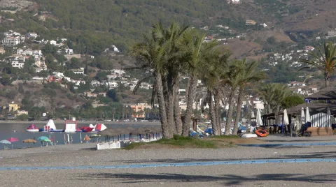 Oasis of palm trees on the beach of La Herradura, Spain Stock Footage 41578655