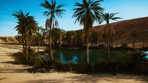 Oasis with palm trees in desert 스톡 일러스트