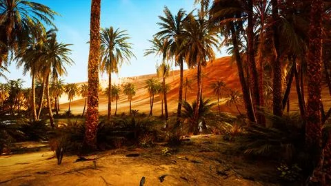 Oasis with palm trees in desert 스톡 일러스트