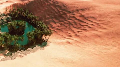 Oasis with palm trees in the desert surrounded by sand dunes during the day 스톡 동영상 345011656