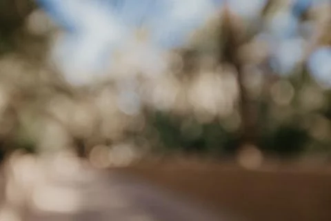 Oasis palms blurred background- Image Stock Photos