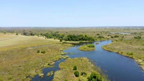Oasis by a River Okavango Delta Botswana Stock Footage 135262924