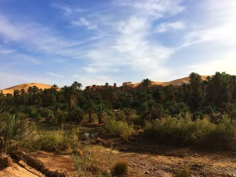 Oasis of Taghit Stock Photos
