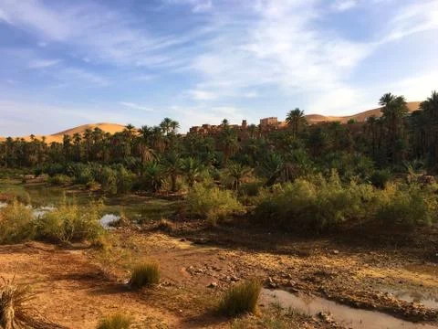 Oasis of Taghit Stock Photos