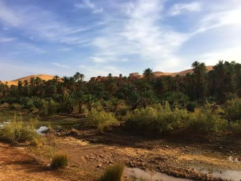 Oasis of Taghit Stock Photos