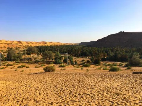 Oasis of Taghit Stock Photos