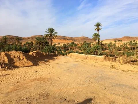 Oasis of Taghit Stock Photos