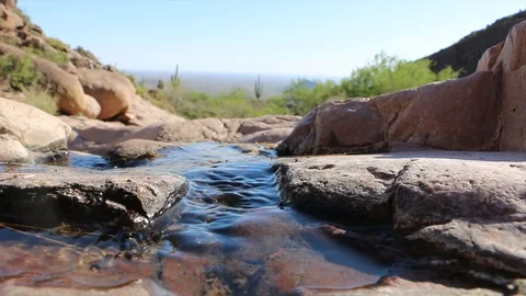 Oasis of Water in Desert Stock Footage 89591556