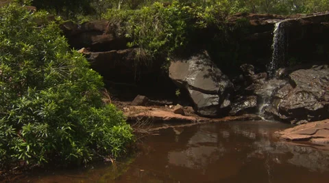 Oasis Waterfall Stock Footage 35175425
