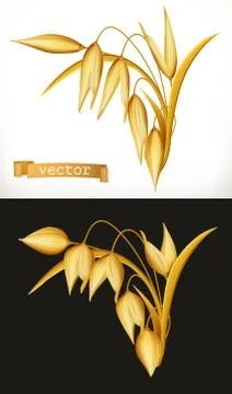 Oat. 3d realistic vector icon Stock Illustration