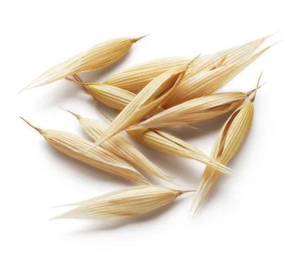 Oat crop Stock Photos