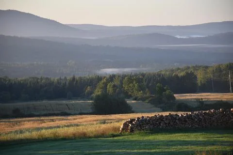 An oat field in the fall Stock Photos