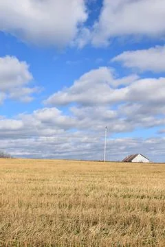 An oat field in the fall Stock Photos