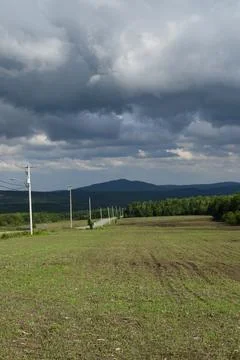 An oat field in spring Stock Photos