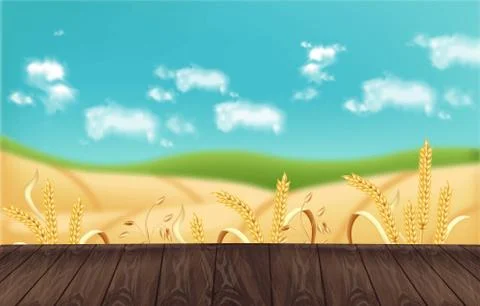 Oat fields Vector realistic background mockup. Wooden table template for prod Stock Illustration