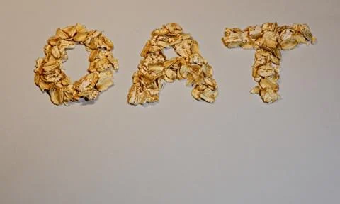 Oat flakes Stock Photos