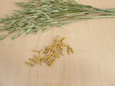 Oat florets Stock Photos