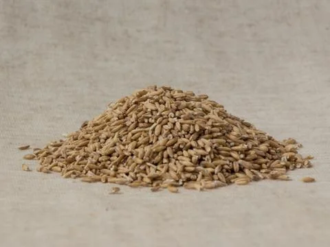 Oat grain on linen background Stock Photos