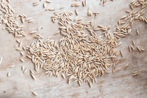 Oat grain Stock Photos