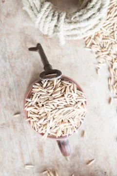 Oat grain Stock Photos