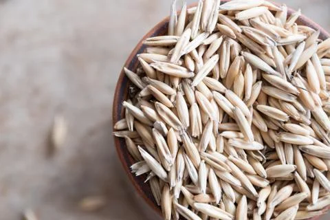 Oat grain Stock Photos