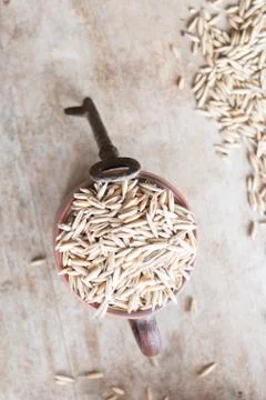Oat grain Stock Photos