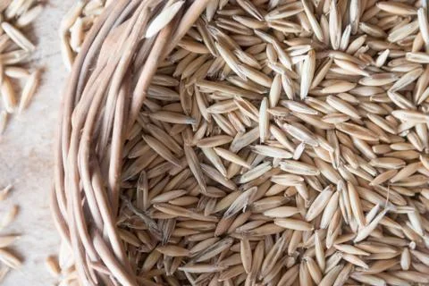 Oat grain Stock Photos