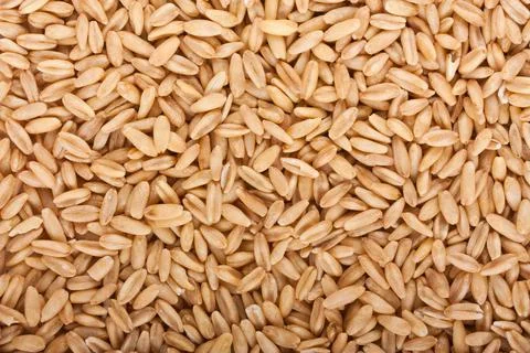 Oat grains closeup texture Stock Photos