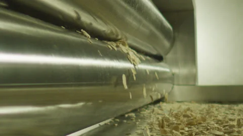 Oat Grains Falling from Factory Rollers Conveyor Stock Footage 159329943